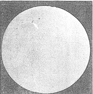 針狀聚集物，如圖1所示